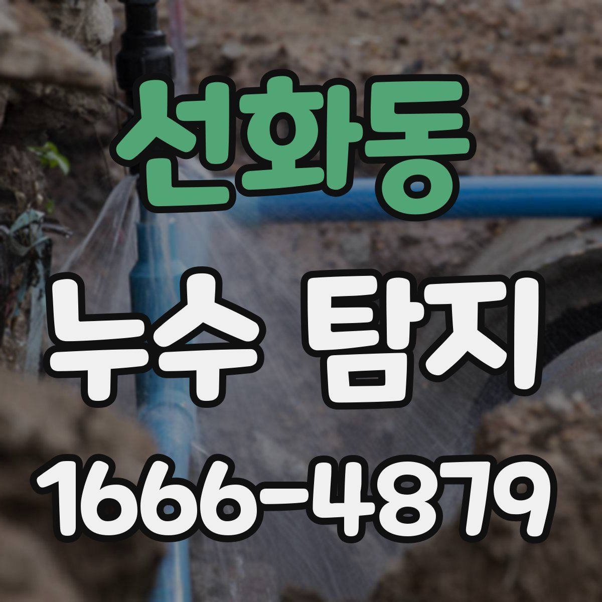 선화동 누수 탐지