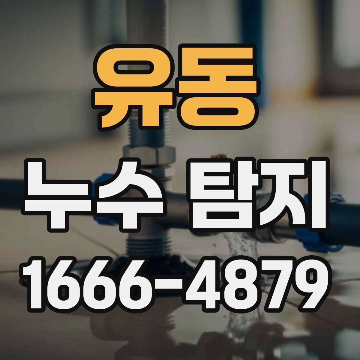 유동 누수 탐지 후 보험 처리 가능 여부 확인