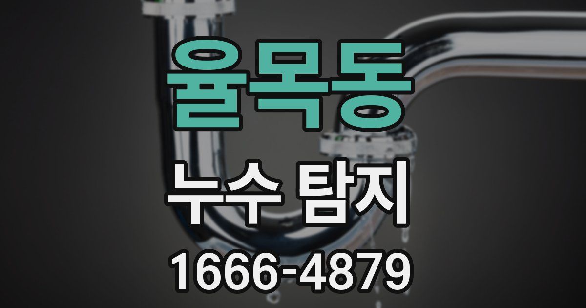 율목동 누수 탐지