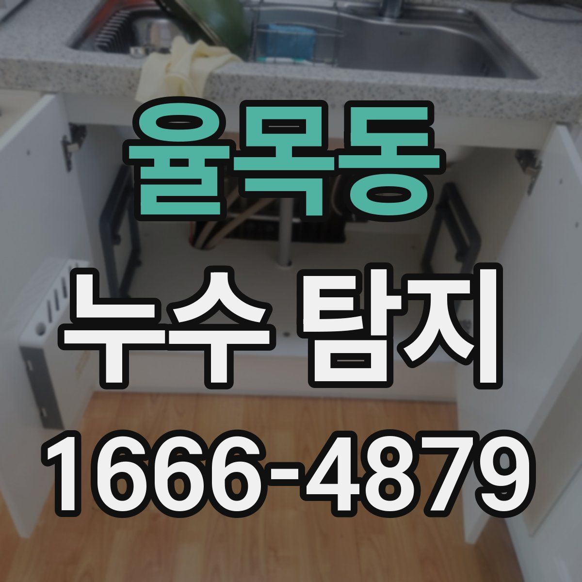 율목동 누수 탐지