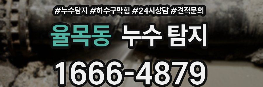 율목동 누수 탐지
