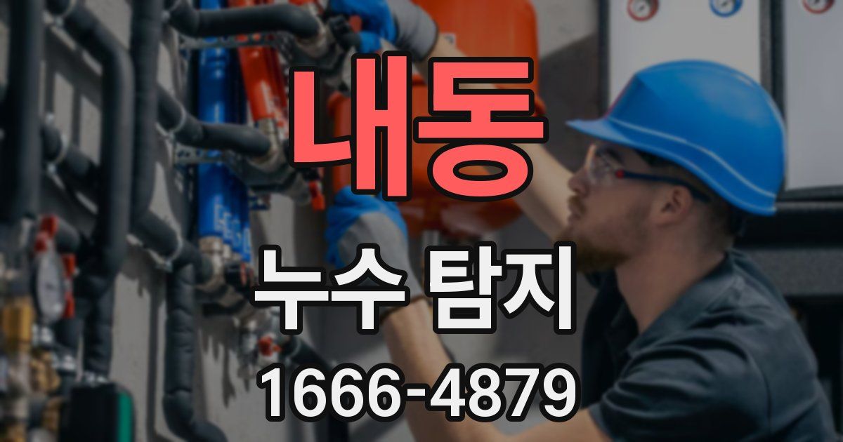 내동 누수 탐지