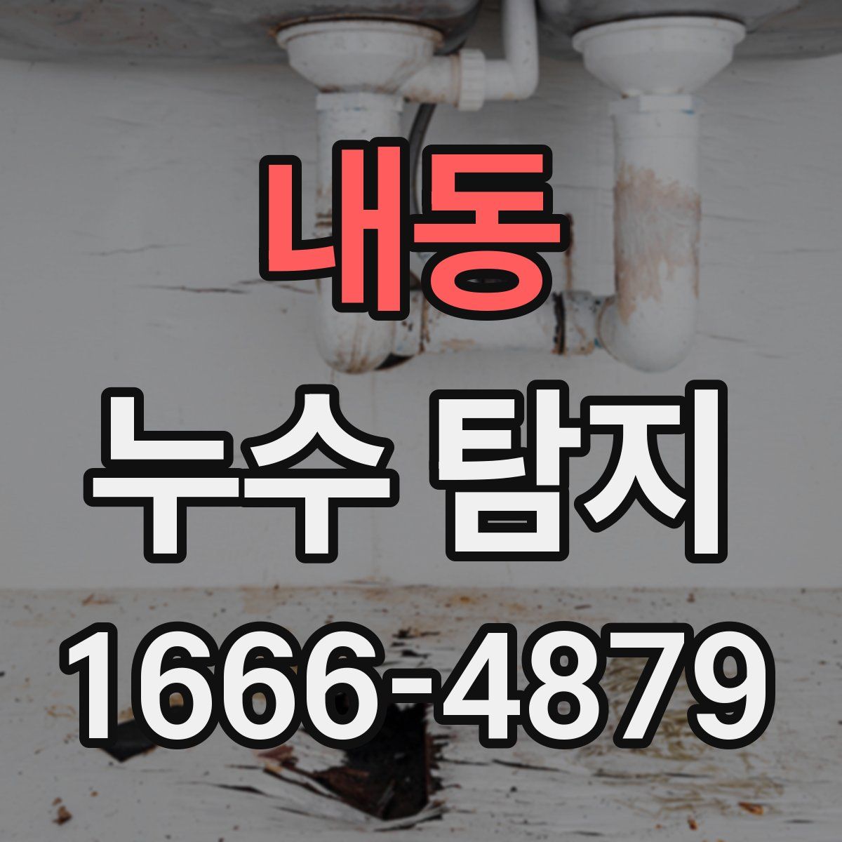 내동 누수 탐지