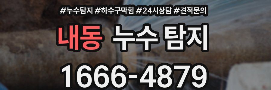 내동 누수 탐지