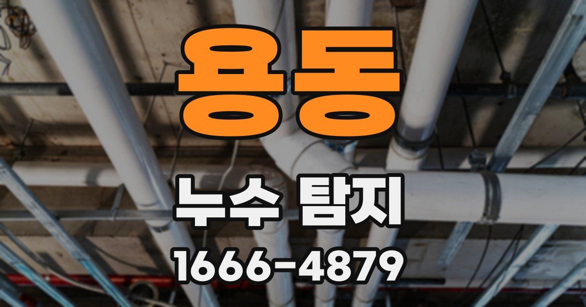 용동 누수 탐지