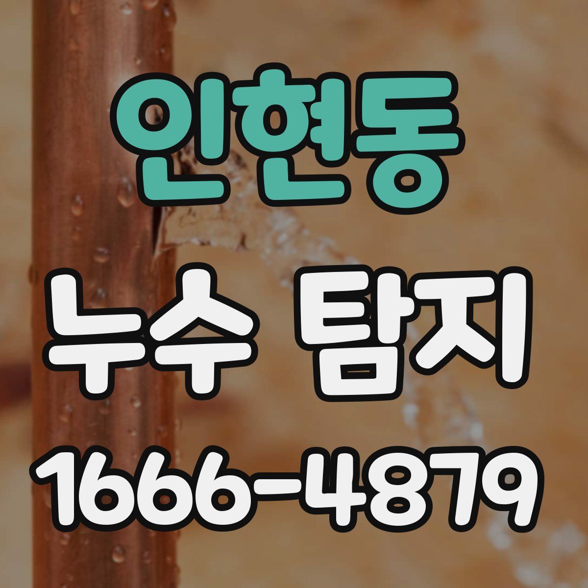 인현동 누수 탐지