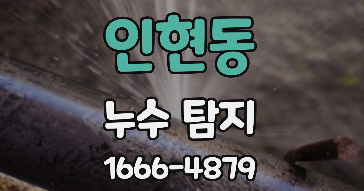인현동 누수 탐지