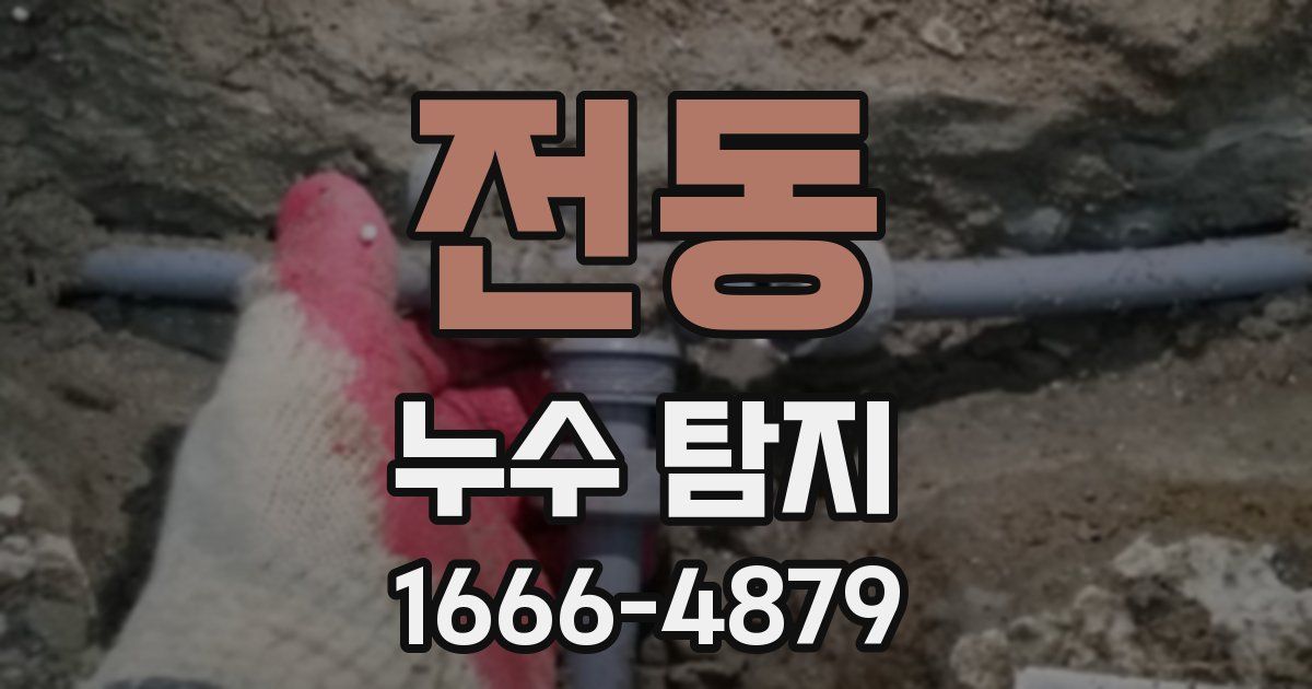 전동 누수 탐지