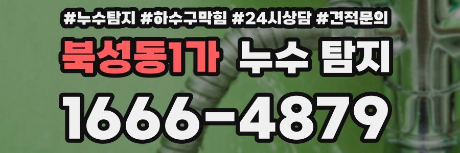 북성동1가 누수 탐지