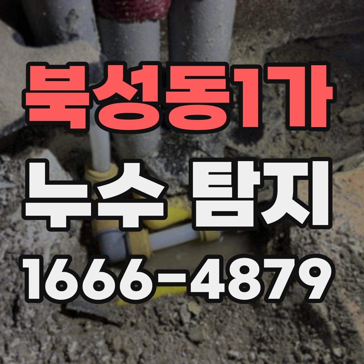 북성동1가 누수 탐지