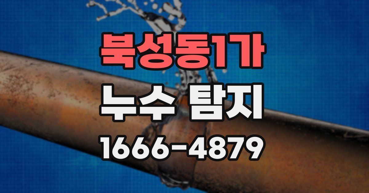 북성동1가 누수 탐지