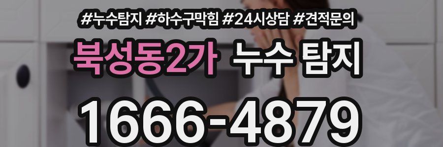북성동2가 누수 탐지