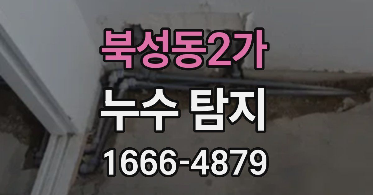북성동2가 누수 탐지