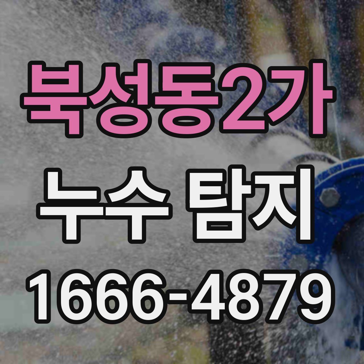 북성동2가 누수 탐지