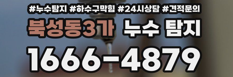 북성동3가 누수 탐지