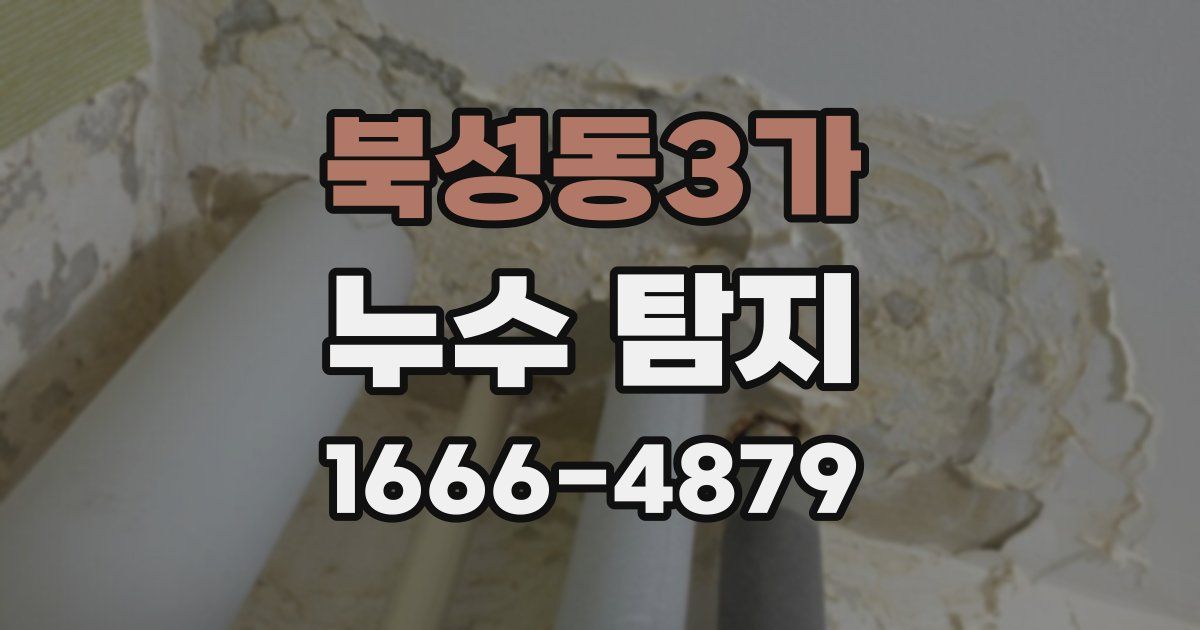 북성동3가 누수 탐지