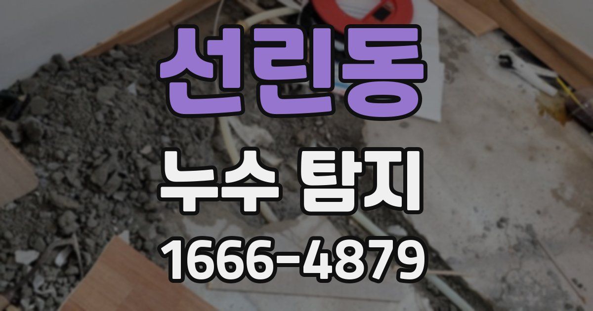 선린동 누수 탐지
