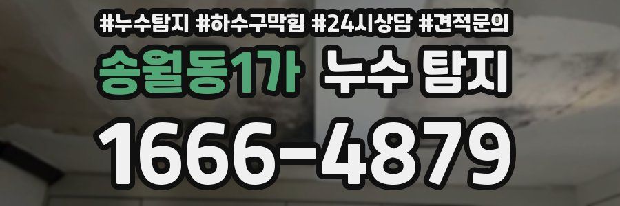 송월동1가 누수 탐지