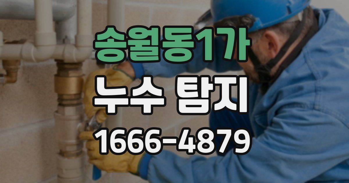 송월동1가 누수 탐지