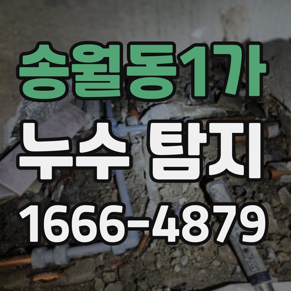 송월동1가 누수 탐지