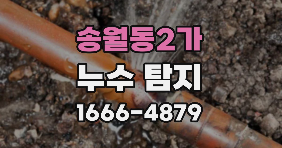 송월동2가 누수 탐지