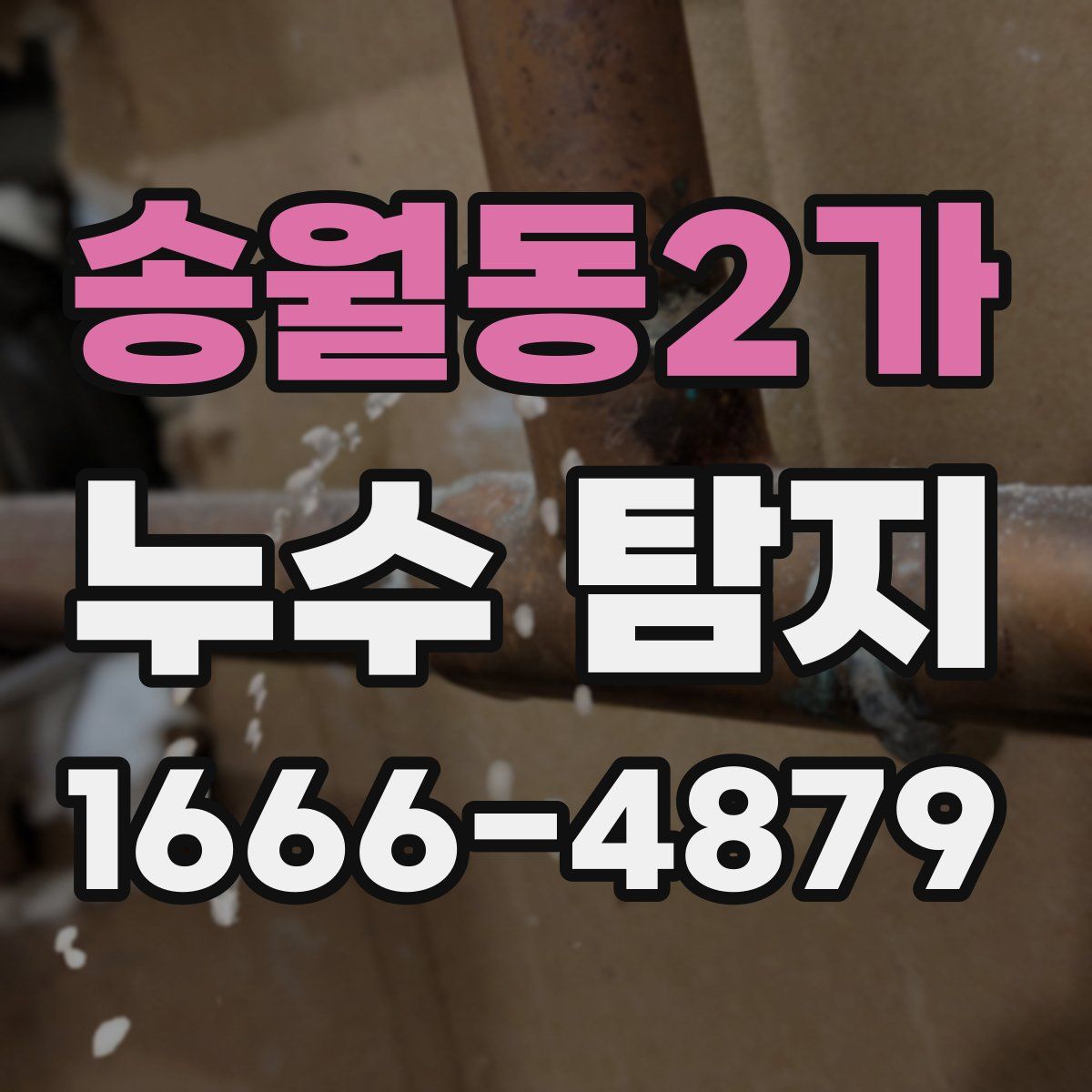 송월동2가 누수 탐지