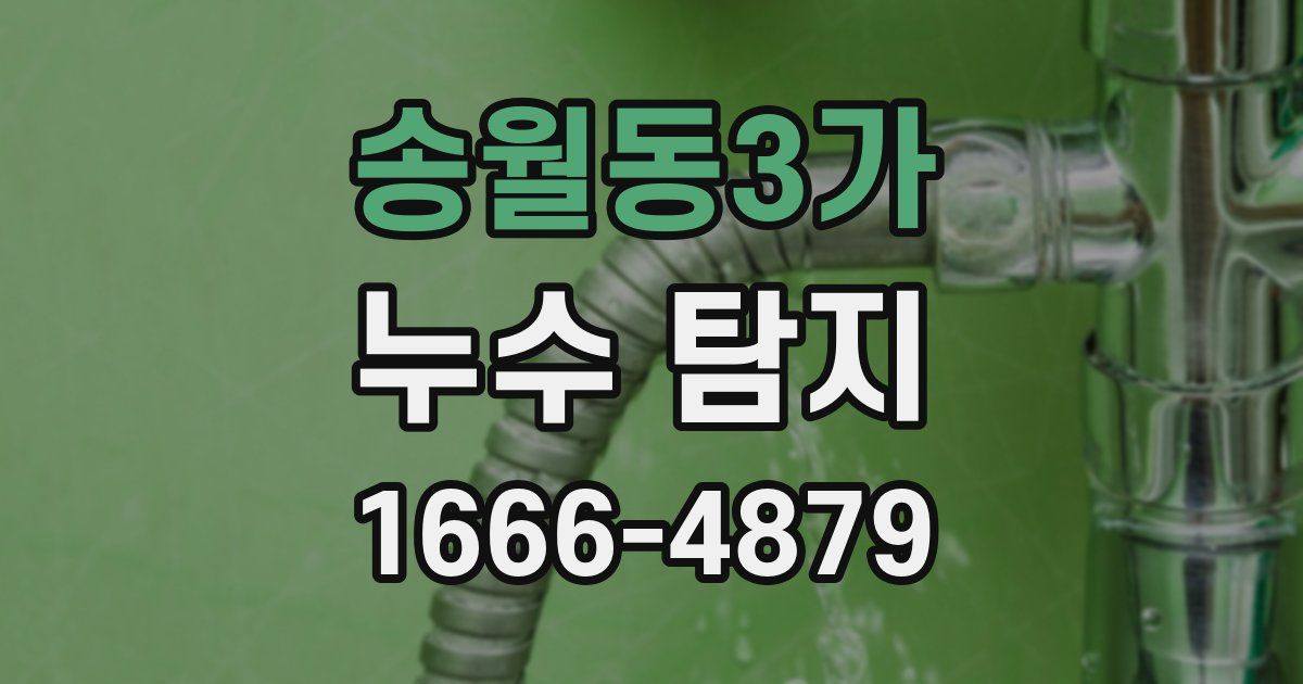 송월동3가 누수 탐지