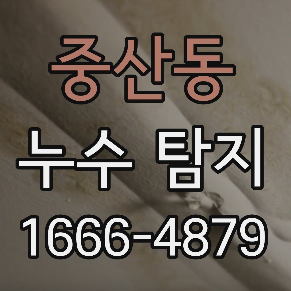 중산동 누수 탐지 업체 방문 일정 잡을 때 팁