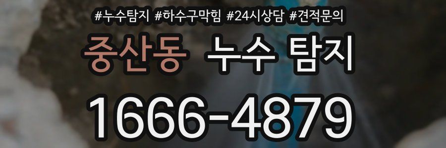 중산동 누수 탐지