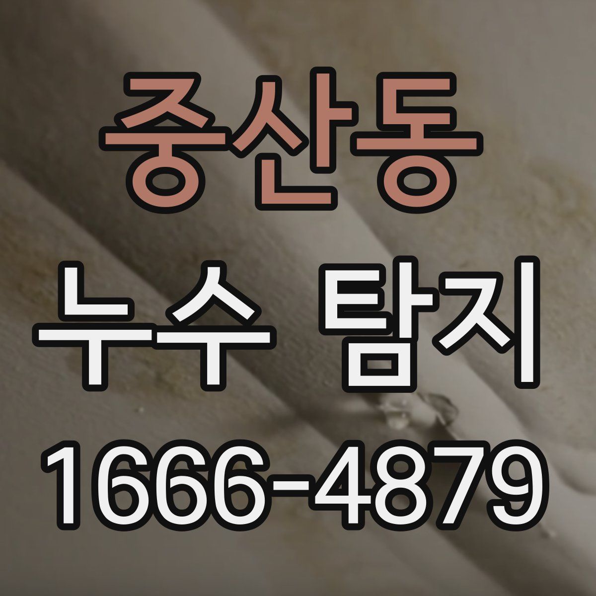 중산동 누수 탐지