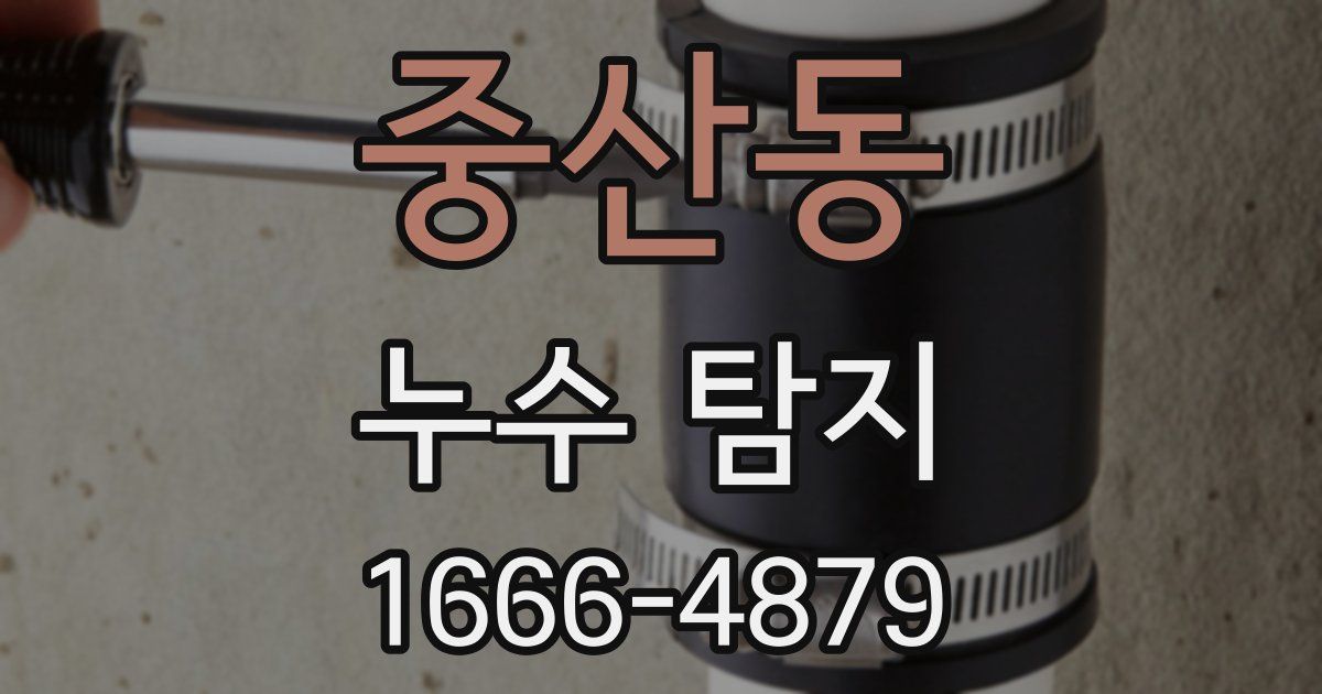 중산동 누수 탐지