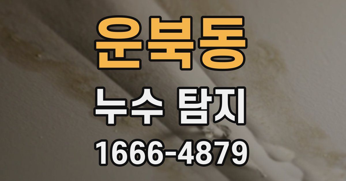 운북동 누수 탐지