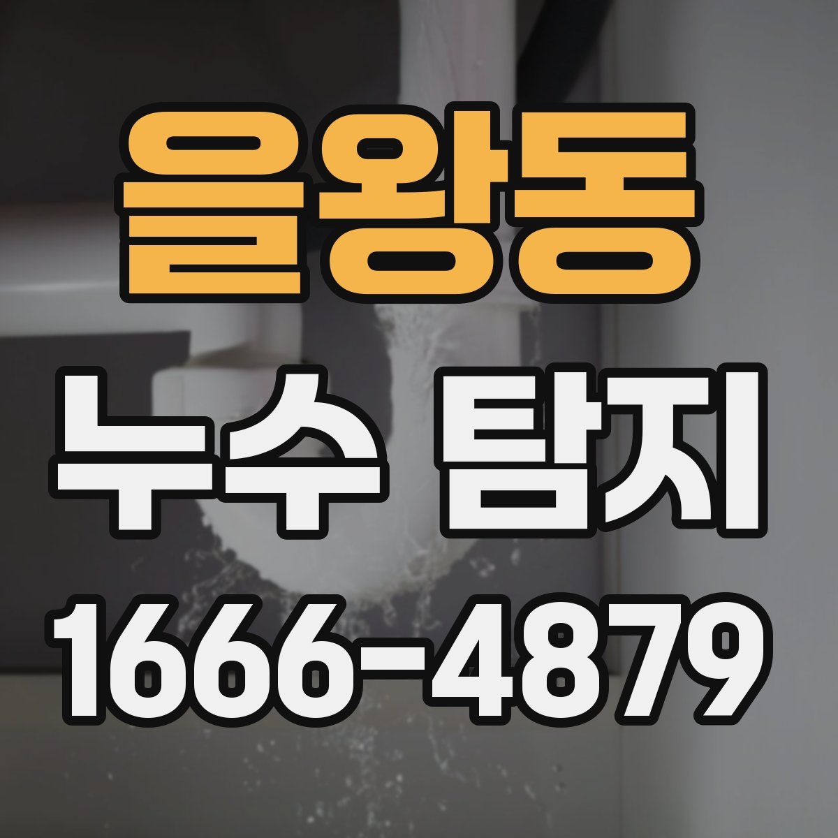 을왕동 누수 탐지