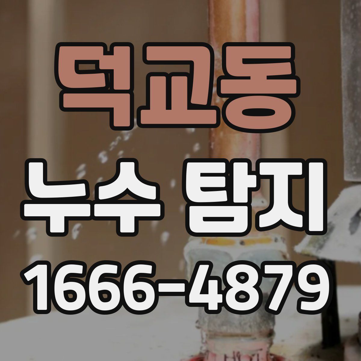 덕교동 누수 탐지