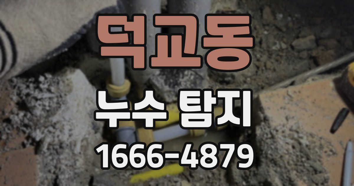 덕교동 누수 탐지