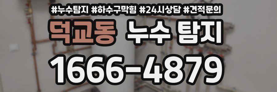 덕교동 누수 탐지