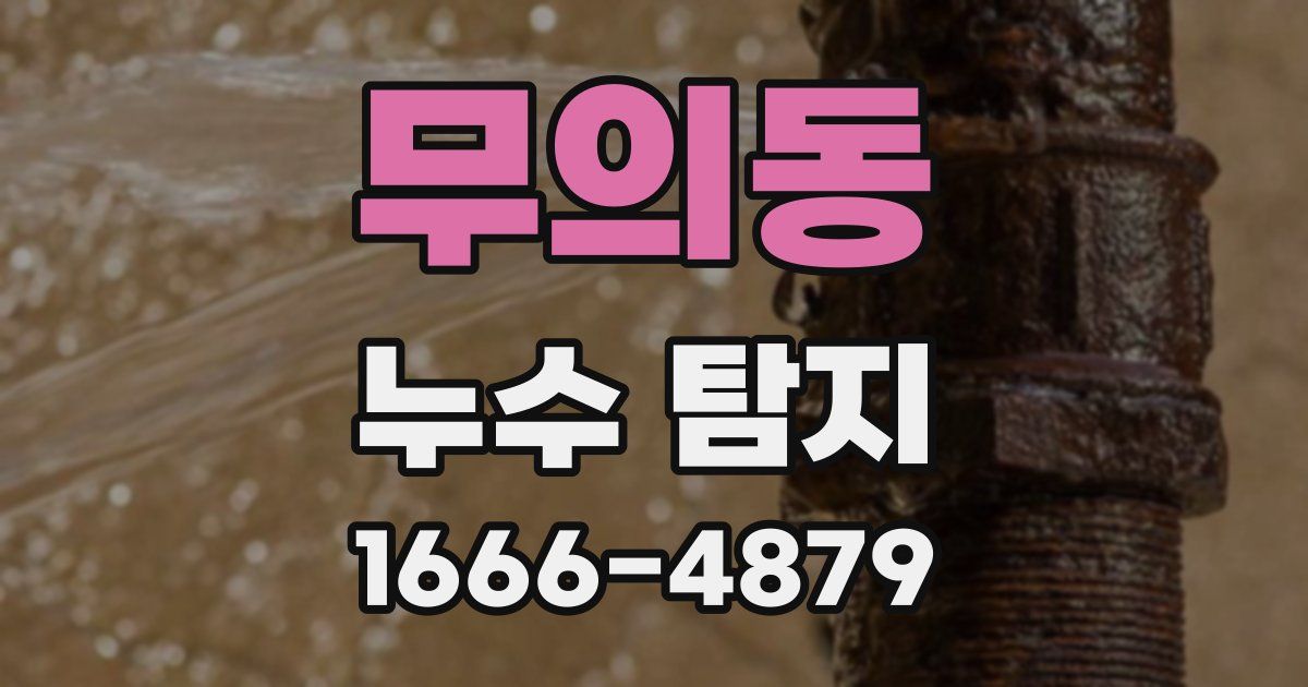 무의동 누수 탐지