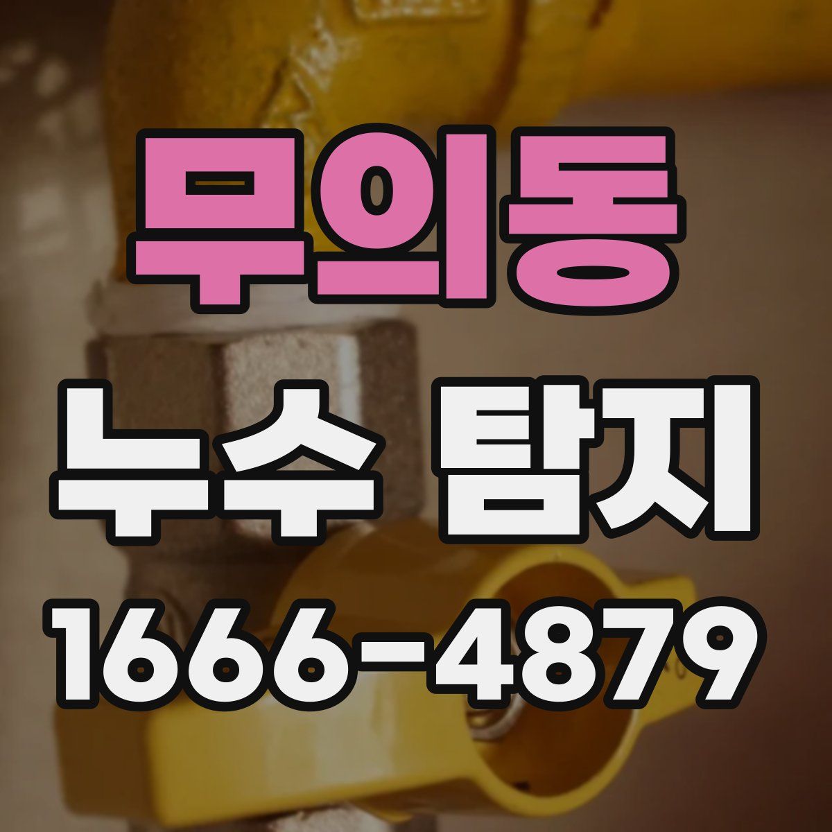무의동 누수 탐지