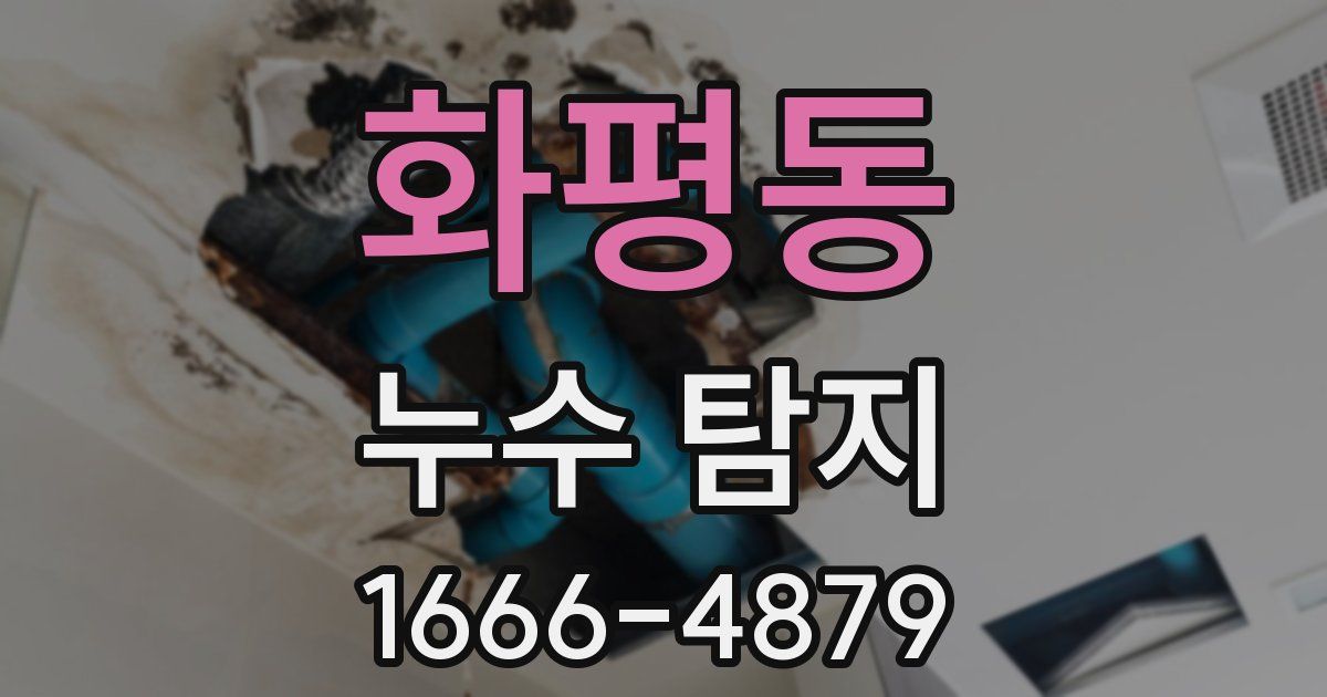 화평동 누수 탐지