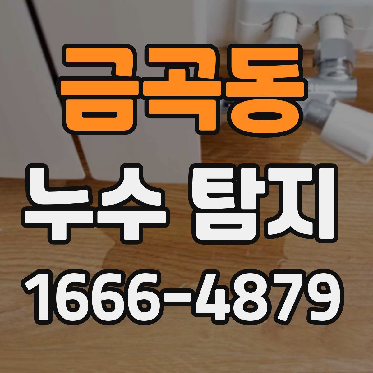 금곡동 누수 탐지