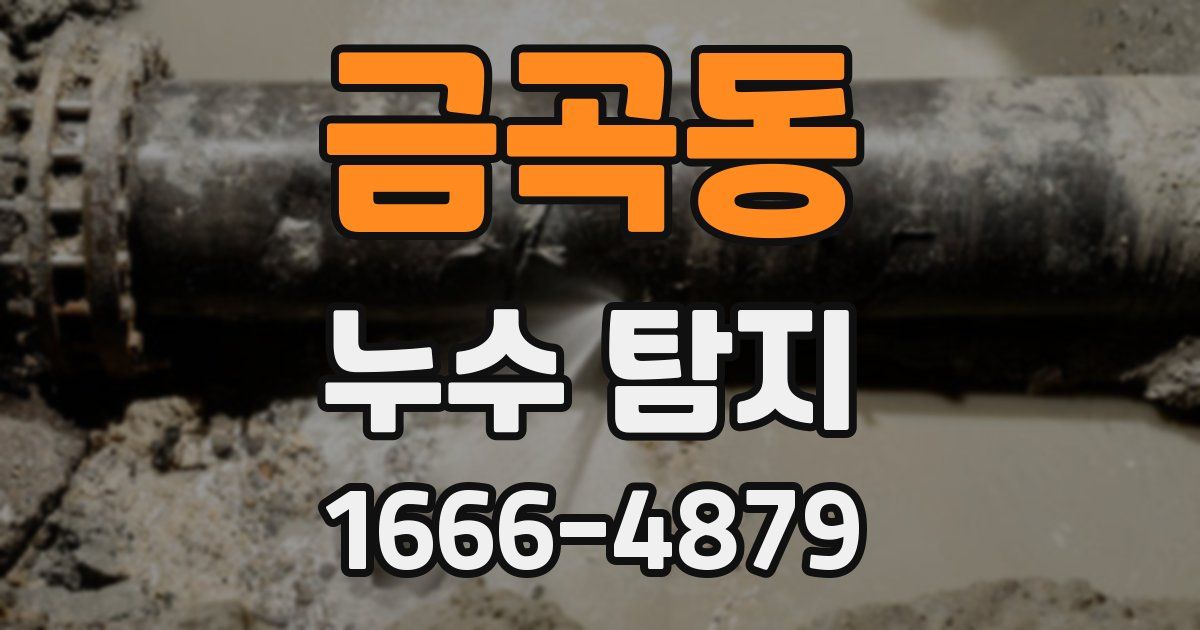 금곡동 누수 탐지
