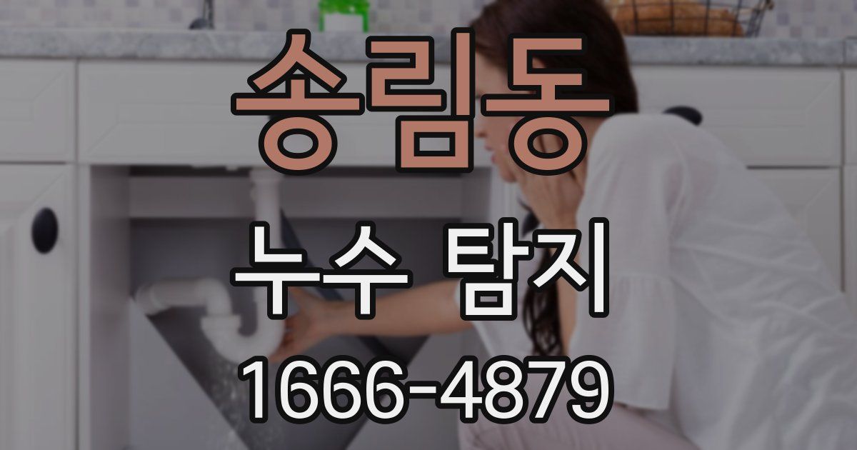 송림동 누수 탐지