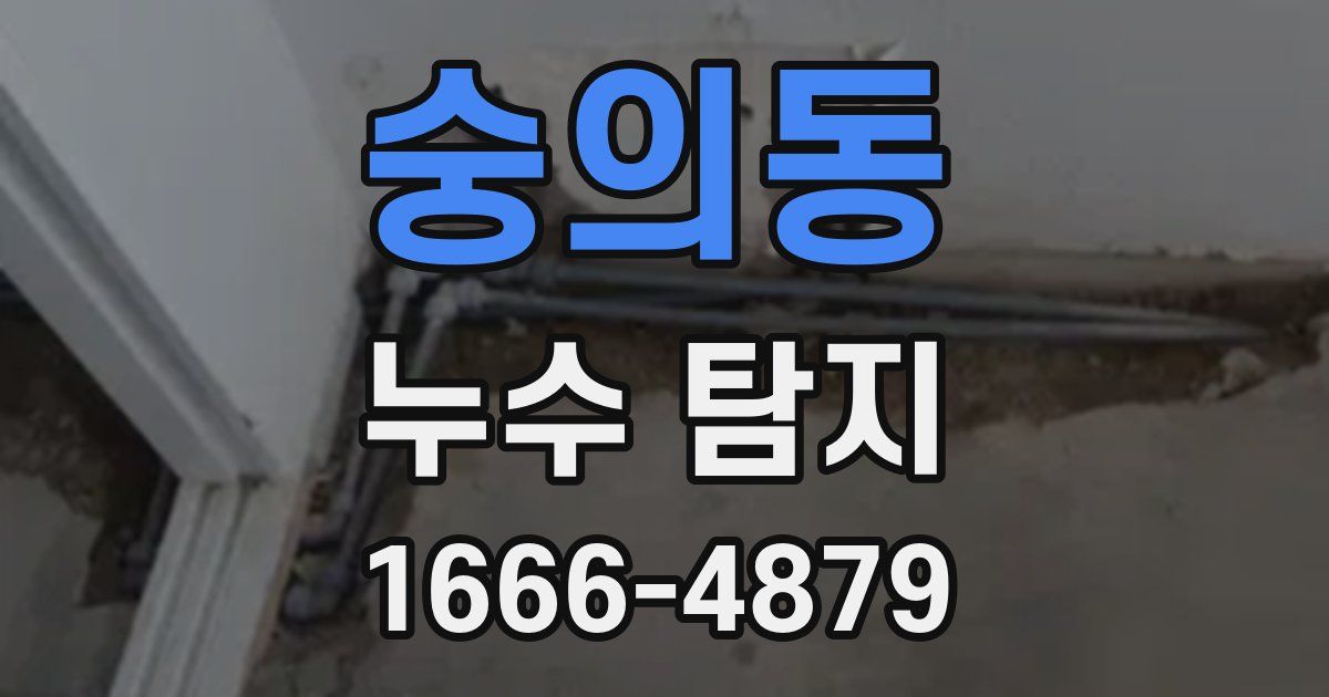 숭의동 누수 탐지