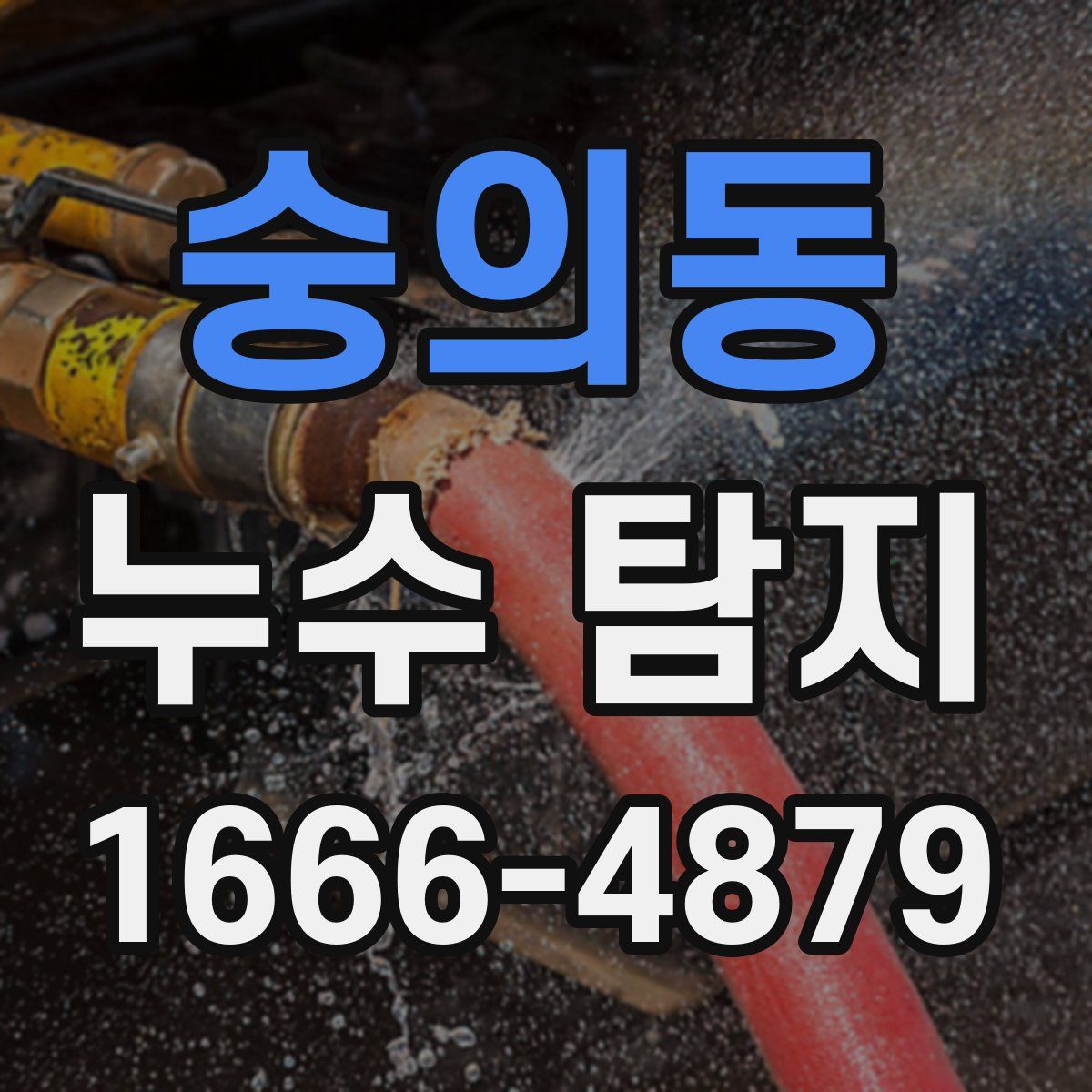 숭의동 누수 탐지
