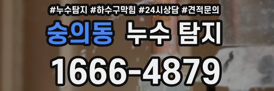 숭의동 누수 탐지