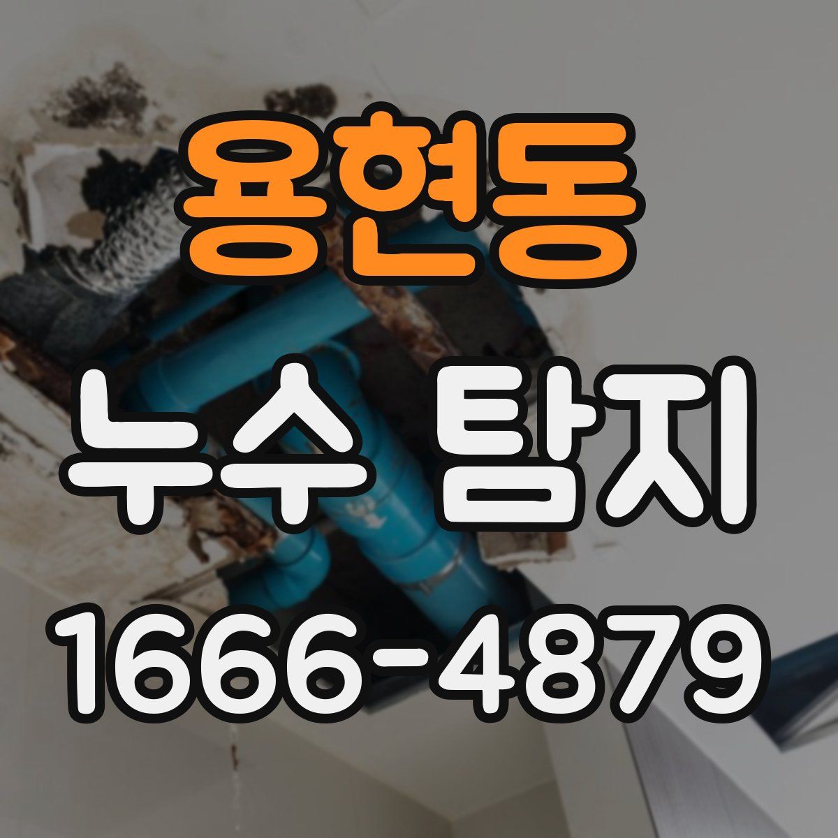 용현동 누수 탐지