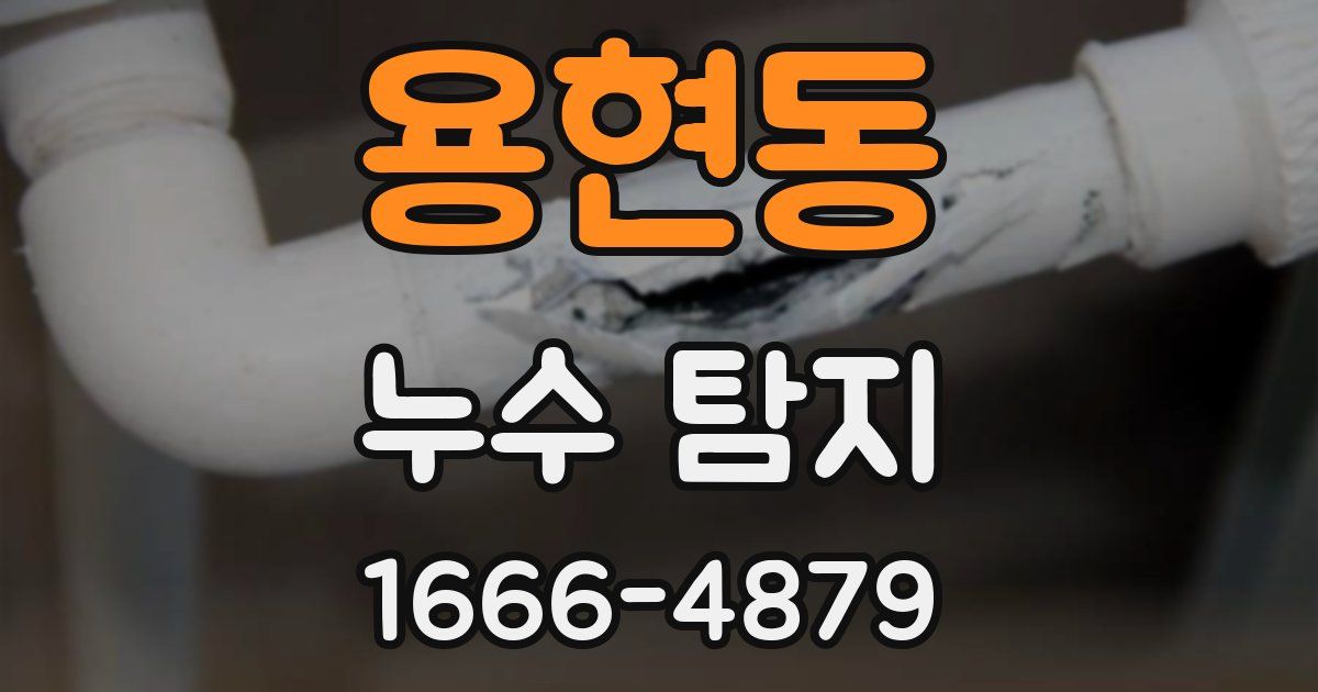 용현동 누수 탐지