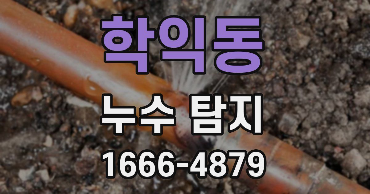 학익동 누수 탐지
