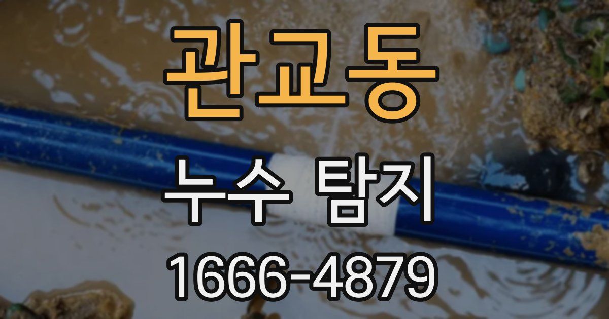 관교동 누수 탐지