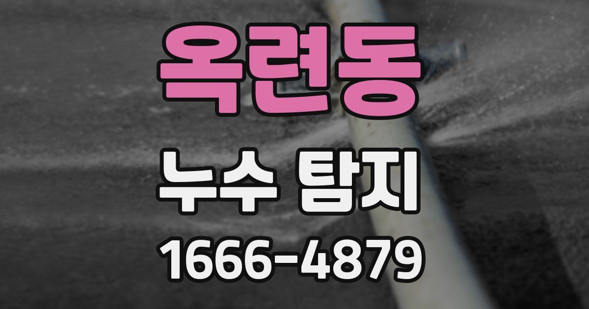 옥련동 누수 탐지